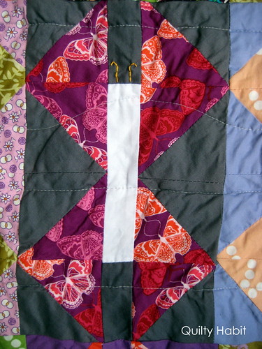 Close up butterfly 3